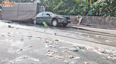 運海鮮貨車翻側壓着私家車尾部，車上鮮魚散滿路面。（馬竟峯攝）