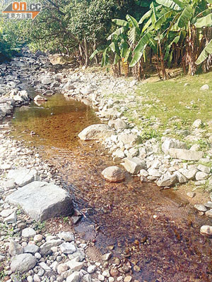 搬走河床石頭<br>大橋村河流的石頭被搬離河道，自然生態受到破壞。