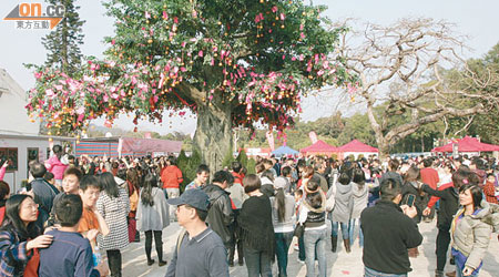 大埔林村放馬莆新春市場過去吸引大批市民前往參觀。