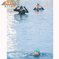 不少晨運泳客近日於水中暢泳時發現水母。