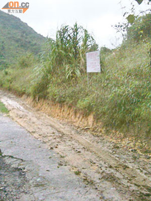沙螺洞一條小徑近日被人擴闊路面，路旁植物被破壞。