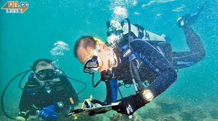 逾五百七十名義工協助進行今年的珊瑚礁普查。