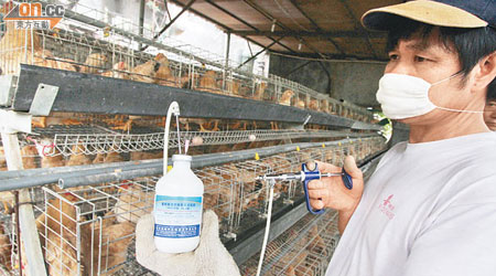 每支Re-6疫苗可注射至少五百隻雞。（受訪者提供）