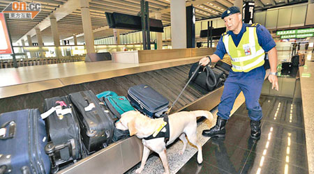 海關人員會利用緝毒犬在機場以至所有口岸抽查旅客行李，以堵截毒品流入。