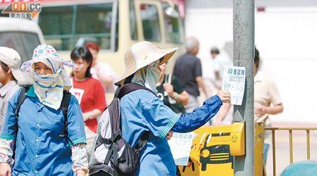 食環署的清潔工人需定時清理燈柱上的街招。