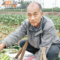 菜農鄧先生表示，大部分菜場負擔不起昂貴的化肥。