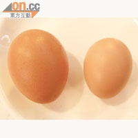 粵皇雞的雞蛋（右）較一般雞蛋（左）較細小。(何天成攝)