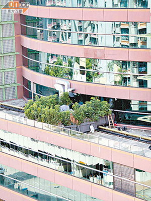 西九龍中心平台部分位置被闢作露天餐廳，並以大型盆栽分隔。