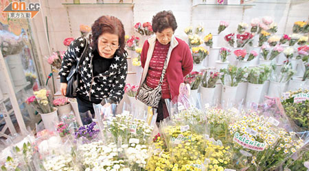 不少市民已忙於選購年花。今年傳統年花如銀柳、百合等價格較去年大幅上漲。（袁志豪攝）