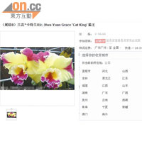 內地購物網店公開出售各款蘭花，更指可直送本港。