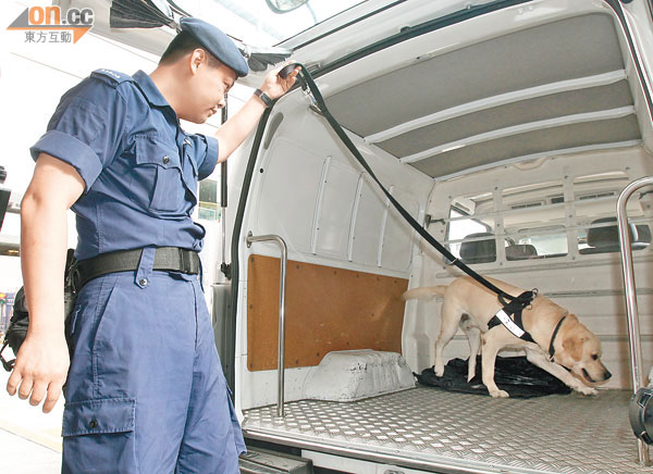 靜態緝毒犬只需五分鐘便可嗅到車內有否毒品。（黃仲民攝）