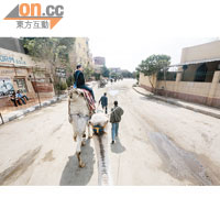 曾有港人被當地人游說騎駱駝拍照後，遭索取二百美元。