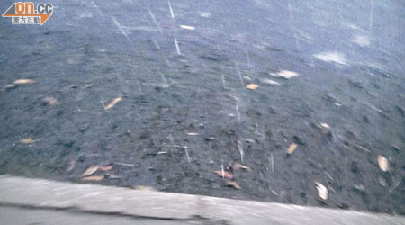 上周二港島區山頂布力徑曾灑下如黃豆般大的冰雹。（資料圖片）