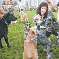 Amy帶愛犬到彭福公園休憩已有十多年。