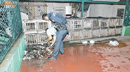 警員在籃球場儲物箱着火現場調查。（楊偉嶽攝）