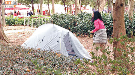 疑似內地遊客在維園草地紮起帳幕露營。