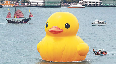 黃色橡皮巨鴨在維港出浴，為港人加添童真。（袁志豪攝）