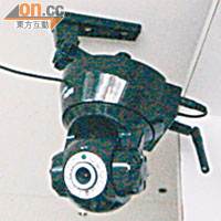 Ip Cam