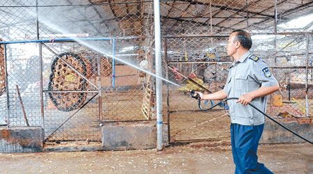 廣州白雲區百興三鳥批發市場工作人員做消毒工作。（中新社圖片）