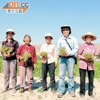 林漢明（右二）不時前往中國西北和東北乾旱山區，實地了解大豆耕種實況。