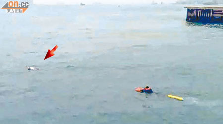 男子在海面載浮載沉（箭嘴示），消防員正游向他施救。（讀者曾憲清提供）