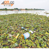 東莞<br>東江下游有發泡膠、洗潔精樽、油漆罐等垃圾。