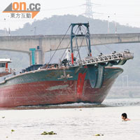 東江下游有不少載有沙石的工程船來回往返岸邊。