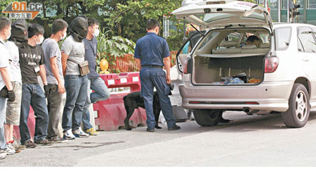 探員押同兩名疑犯搜車，警犬協助蒐證。（高偉明攝）