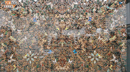 其中一幅逾千萬元的昆蟲畫由英國著名藝術家Damien Hirst創作。