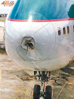 國泰航空早前一架客機準備降落馬尼拉機場時，遇到大型雀鳥撞擊，機頭的雷達罩嚴重破損。