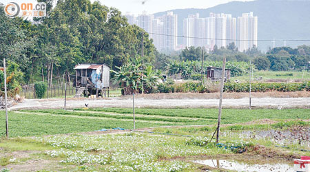 港府發展新界東北，表示會有復耕安排，但務農的村民認為安排不切實際。（資料圖片）