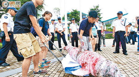海洋公園出動多名保安，阻止「血染海豚」雕塑進入園區。（盧志燊攝）