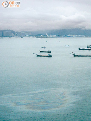 屯門碼頭對出一帶青山灣海面常有油污，海事處卻指未有發現。