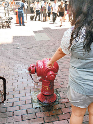消防栓漏水不但浪費用水，亦隨時影響救火工作。