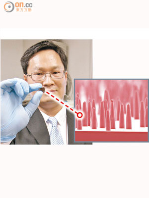 陳獻峰手拿一小塊金屬片，表面每平方厘米附有一百萬支納米針。（羅俊文攝）
