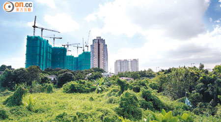 李兆基打算捐出元朗馬田壆農地興建出售的資助房屋單位。（潘思維攝）