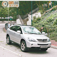 荃灣安賢街大樹倒下壓中私家車，女司機受傷。（張世洋攝）