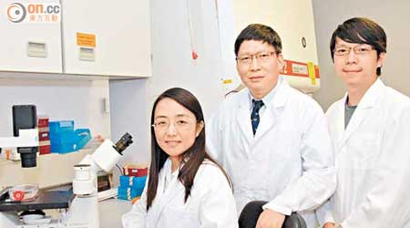 管軼（中）及朱華晨（左）領導的研究小組在內地雞隻驗出H7N7病毒。