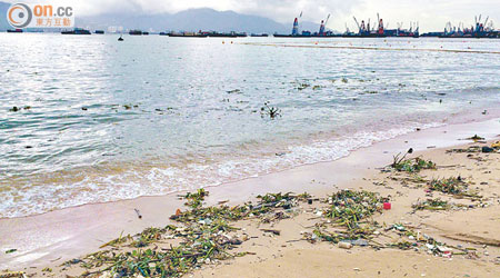 蝴蝶灣泳灘經常有垃圾沖上岸，待清潔員清理。