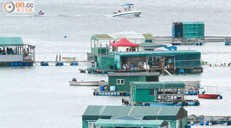 榕樹澳<BR>榕樹澳有魚排違規提供滑水活動，拖曳的快艇違規穿梭養殖區。