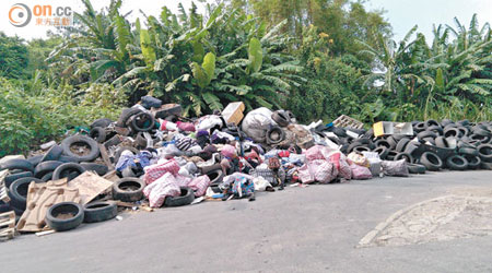 地政署雖聲稱安排承辦商清理廢物，但及後記者發現廢物有增無減。