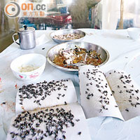 屯門蠅患嚴重，下白泥村村民首當其衝，用膳時被迫與蒼蠅「爭飯食」。