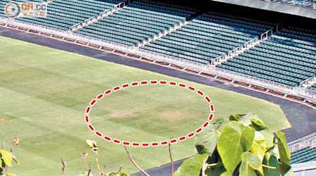 本報記者昨到大球場現場視察，發現仍有部分草地較為枯黃及稀疏（紅圈示）。（梁鵬威攝）