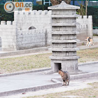 貓隻樂園<br>高爾夫球場使用率奇低，場地更變成「貓隻樂園」。