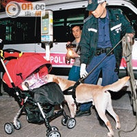 警方出動警犬到場助查。（沈厚錚攝）