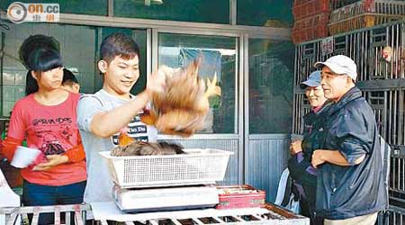 內地<br>港人到蛇口市場購買活雞。（黃少君攝）