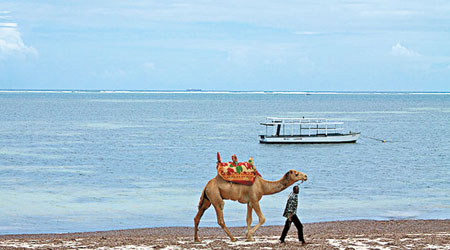 肯尼亞<BR>肯尼亞屬七大旅遊國家之首，旅客可以騎駱駝或以風力推動的遊艇享受綠色假期。（互聯網圖片）