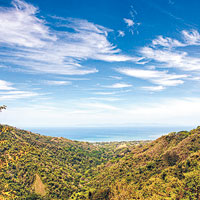 哥斯達黎<BR>哥斯達黎加熱帶雨林處處，與藍天白雲交織成一幅唯美自然風景畫。（互聯網圖片）