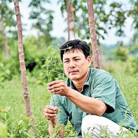 柬埔寨<BR>綠色旅遊近年成為柬埔寨新噱頭，旅客可於農民家庭住宿，感受田園生活。（互聯網圖片）