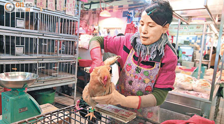 雞販戴上手套處理活雞，防範受感染。（袁志豪攝）